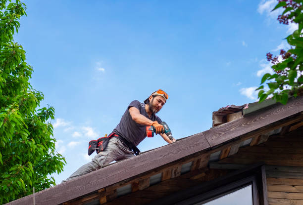 Best Metal Roofing Installation  in Pleasureville, KY