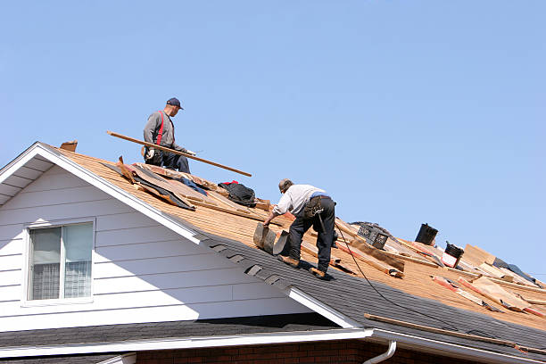 Best Roof Moss and Algae Removal  in Pleasureville, KY
